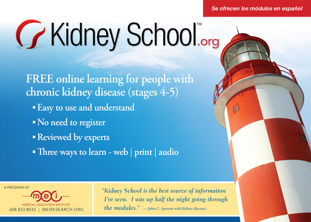 Kidney School